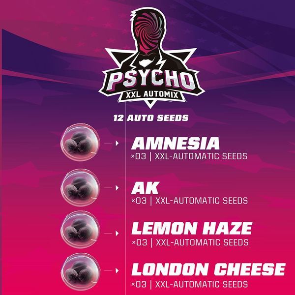 Psycho XXL Auto MIX (BSF Seeds) Feminisoidut