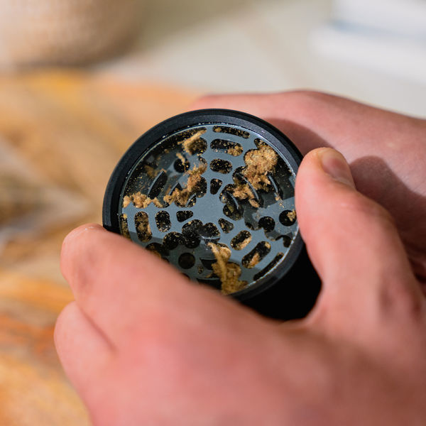 Premium-grinderi (Zamnesia)
