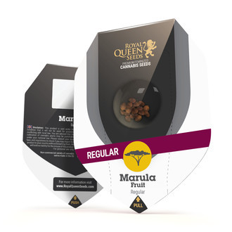 Marula Fruit (Royal Queen Seeds) tavallinen