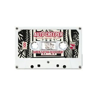 Auto Creeper (Super Sativa Seed Club) Feminisoidut