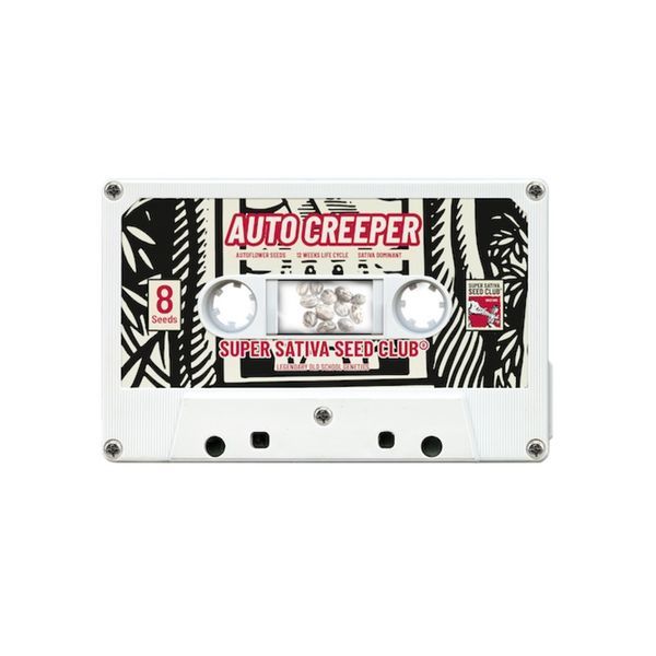 Auto Creeper (Super Sativa Seed Club) Feminisoidut
