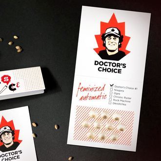 Doctor's Choice 1 Auto (Doctor's Choice) Feminisoidut
