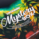 Kannabis-mysteerilaatikko – Classic (Zamnesia)
