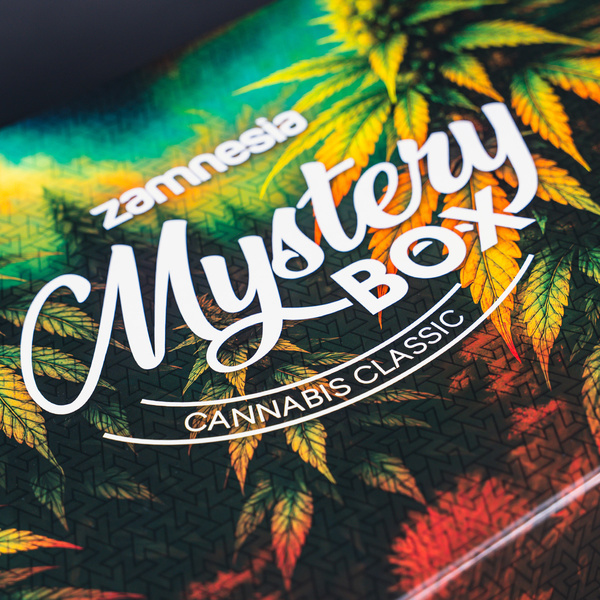 Kannabis-mysteerilaatikko – Classic (Zamnesia)