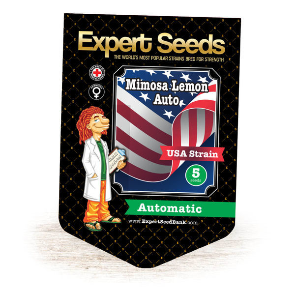 Mimosa Lemon Auto (Expert Seeds) Feminisoidut