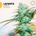 Lafanta Light (Light Buds) -Feminisoidut
