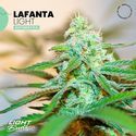 Lafanta Light Auto (Light Buds) Feminisoidut