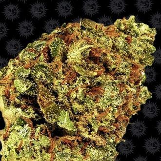 Watermelon Zkittlez Auto (Barney's Farm) Feminisoidut