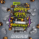 Amnesia Punch (Ripper Seeds x Zamnesia) Feminisoidut