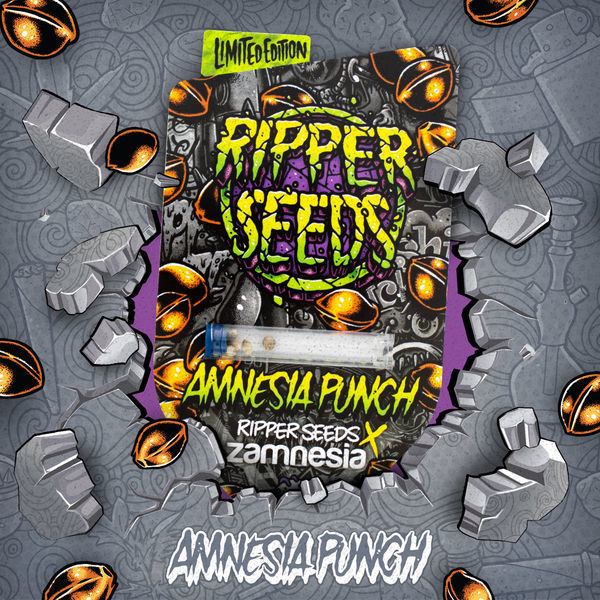 Amnesia Punch (Ripper Seeds x Zamnesia) Feminisoidut