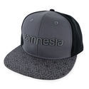Zamnesia snapback -lippis, harmaa