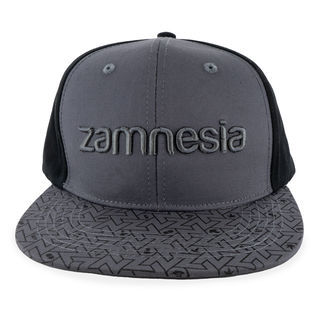 Zamnesia snapback -lippis, harmaa