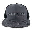 Zamnesia snapback -lippis, harmaa