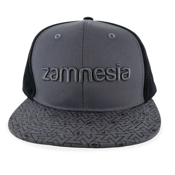 Zamnesia snapback -lippis, harmaa