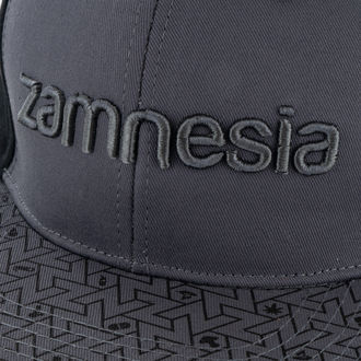 Zamnesia snapback -lippis, harmaa