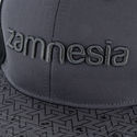 Zamnesia snapback -lippis, harmaa