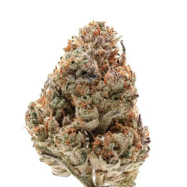 Octane Fire (Growers Choice) Feminisoidut