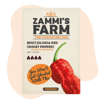 Bhut Jolokia (Ghost Pepper) -siemenet