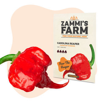 Carolina Reaper -siemenet