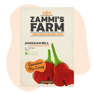 Jamaikalaisen bell cambuci -chilin siemenet