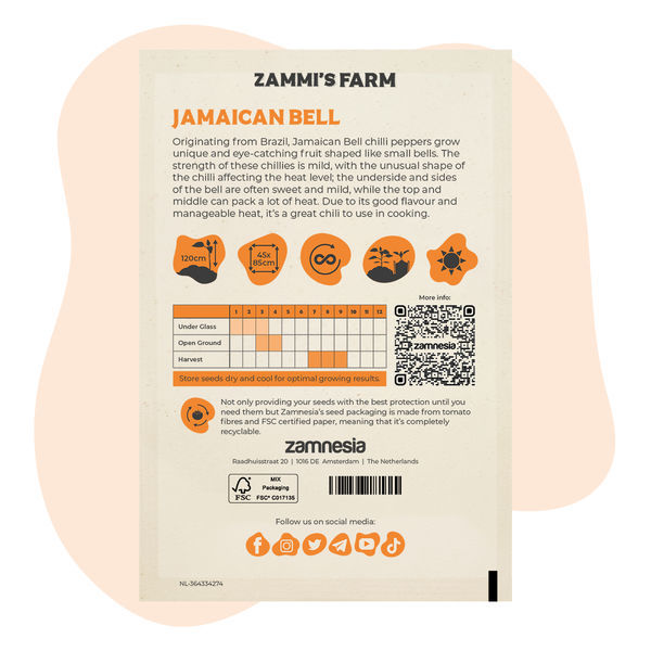 Jamaikalaisen bell cambuci -chilin siemenet