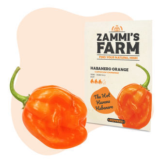 Habanero Orange -siemenet