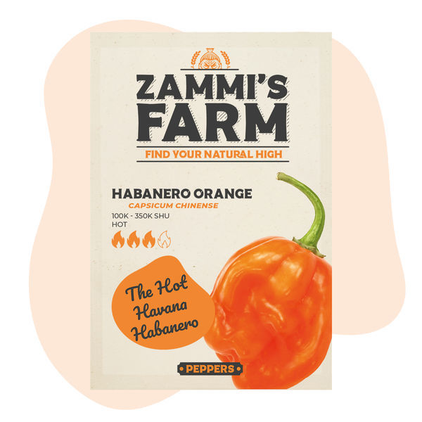Habanero Orange -siemenet