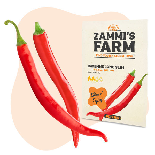 Cayenne Long Slim -siemenet