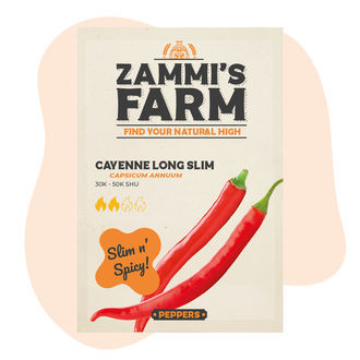 Cayenne Long Slim -siemenet