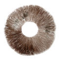 Psilocybe cubensis Ban Hua Thai -itiöpainanne