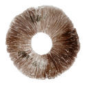 Psilocybe cubensis Hawaii (PES) -itiöpainanne