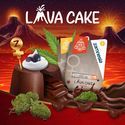 Lava Cake (Zamnesia Seeds) Feminisoidut