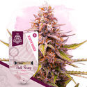 Pink Rozay (Zamnesia Seeds) Feminisoidut