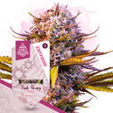 Pink Rozay Autoflower (Zamnesia Seeds) Feminisoidut