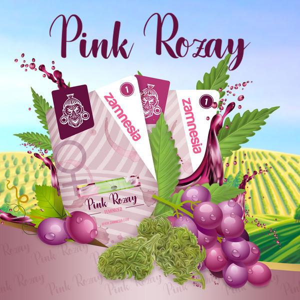 Pink Rozay Autoflower (Zamnesia Seeds) Feminisoidut
