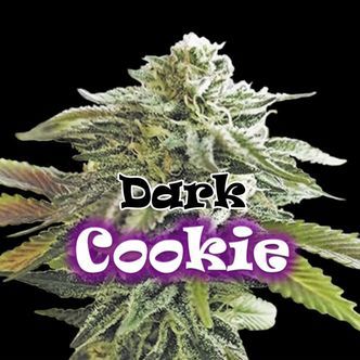 Dark Cookie (Dr. Underground) feminisoidut
