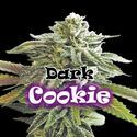 Dark Cookie (Dr. Underground) Feminisoidut