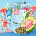 Feminisoidut Frosted Guava (Zamnesia Seeds)