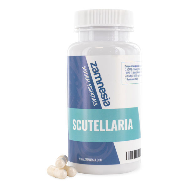 Scutellaria (kypäräkasvit)