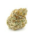 Forbidden Runtz XL Auto (Growers Choice) Feminisoidut