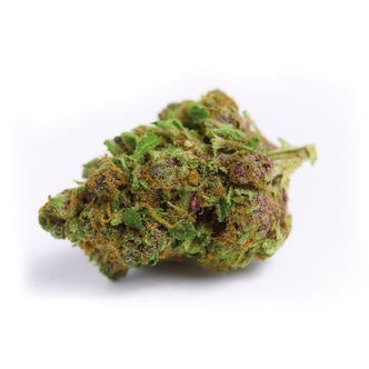 Red Banana Berry XL Auto (Growers Choice) feminoidut