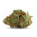 Naranja Biscotti Fast Version (Growers Choice) Feminisoidut