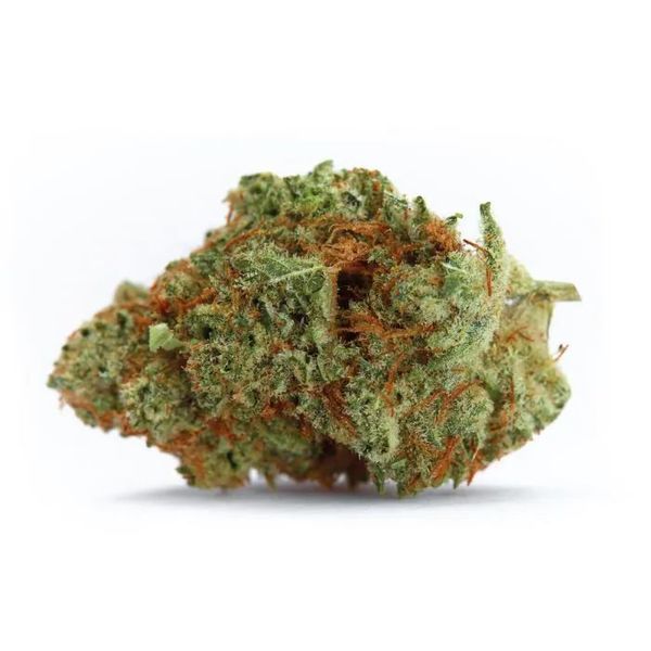 Naranja Biscotti Fast Version (Growers Choice) Feminisoidut