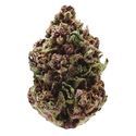 Pink Magic Fast Version (Growers Choice) Feminisoidut
