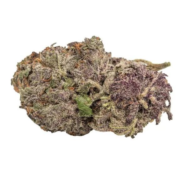 Ultra Violet GMO (Growers Choice) Feminisoidut