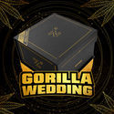 Gorilla Wedding (BSF Seeds x Zamnesia Seeds) Feminisoidut