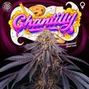 Chantilly (Perfect Tree) Feminisoidut