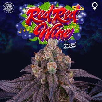 Red Red Wine (Perfect Tree) Feminisoidut kannabiksen siemenet