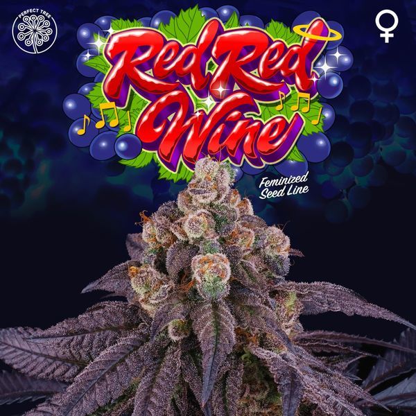 Red Red Wine (Perfect Tree) Feminisoidut
