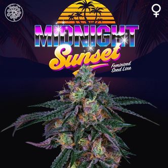 Midnight Sunset (Perfect Tree) Feminisoidut